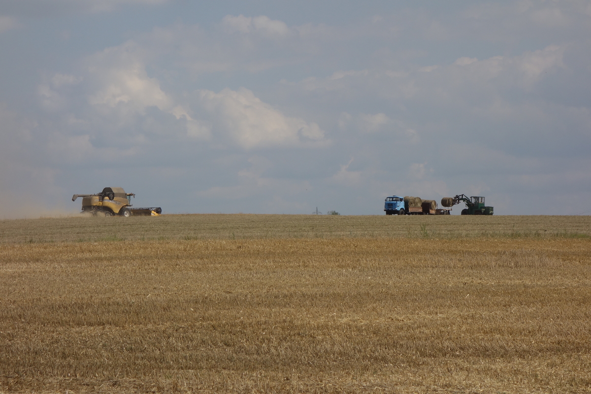 DSC08831.jpg