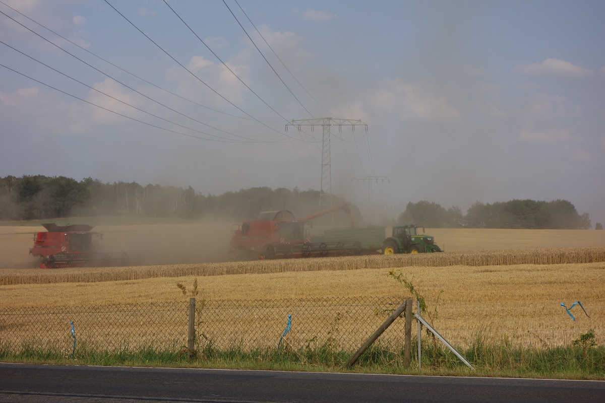 DSC08899.jpg