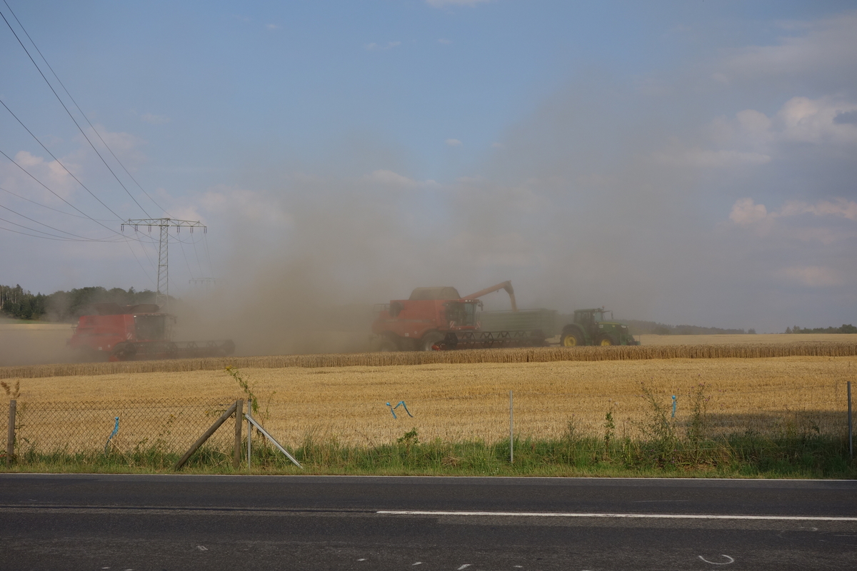 DSC08900.jpg