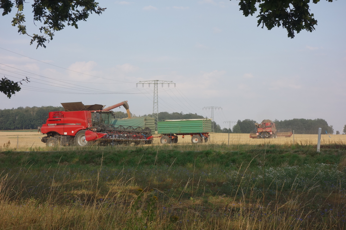 DSC08916.jpg