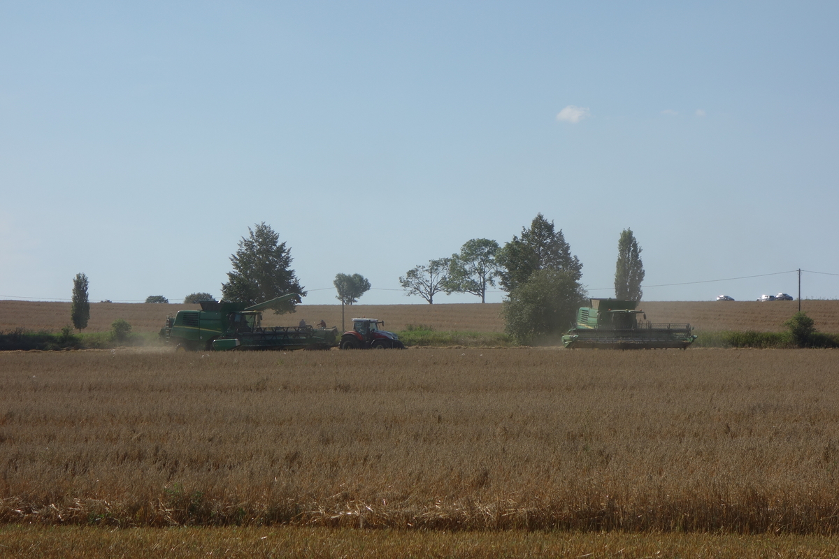 DSC08954.jpg