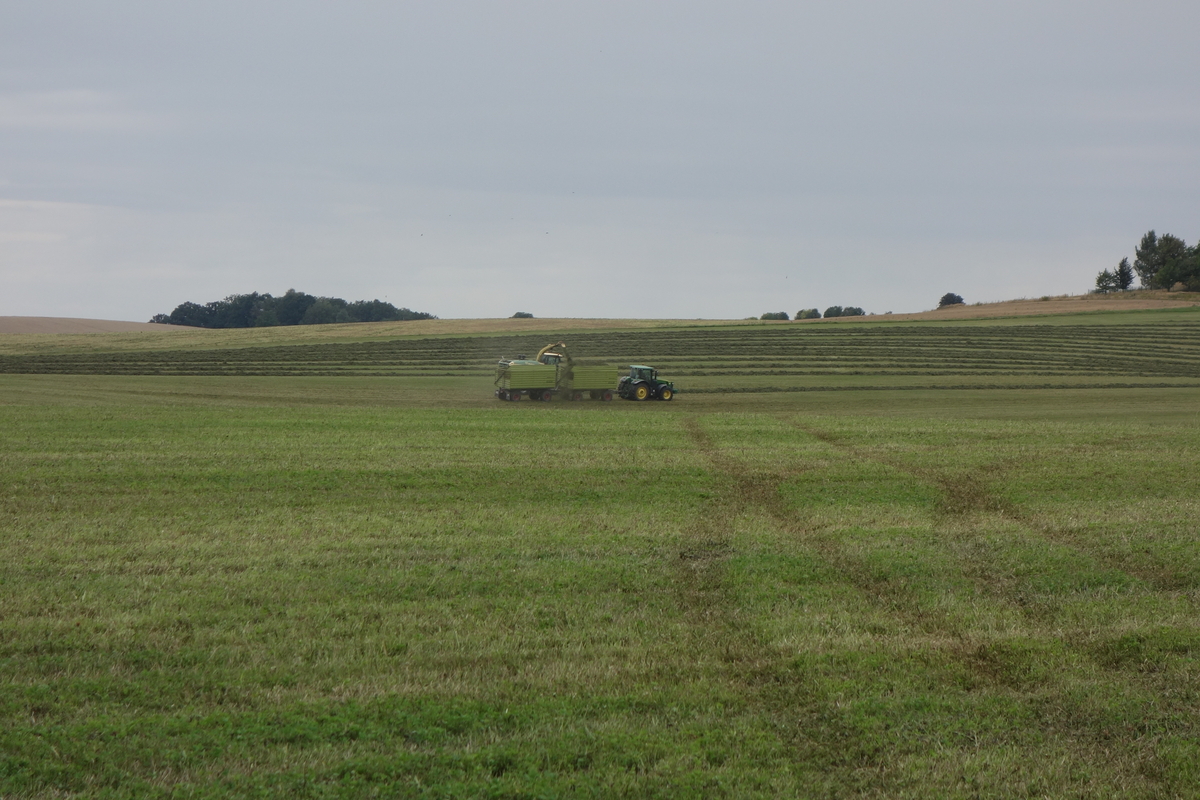 DSC09058.jpg