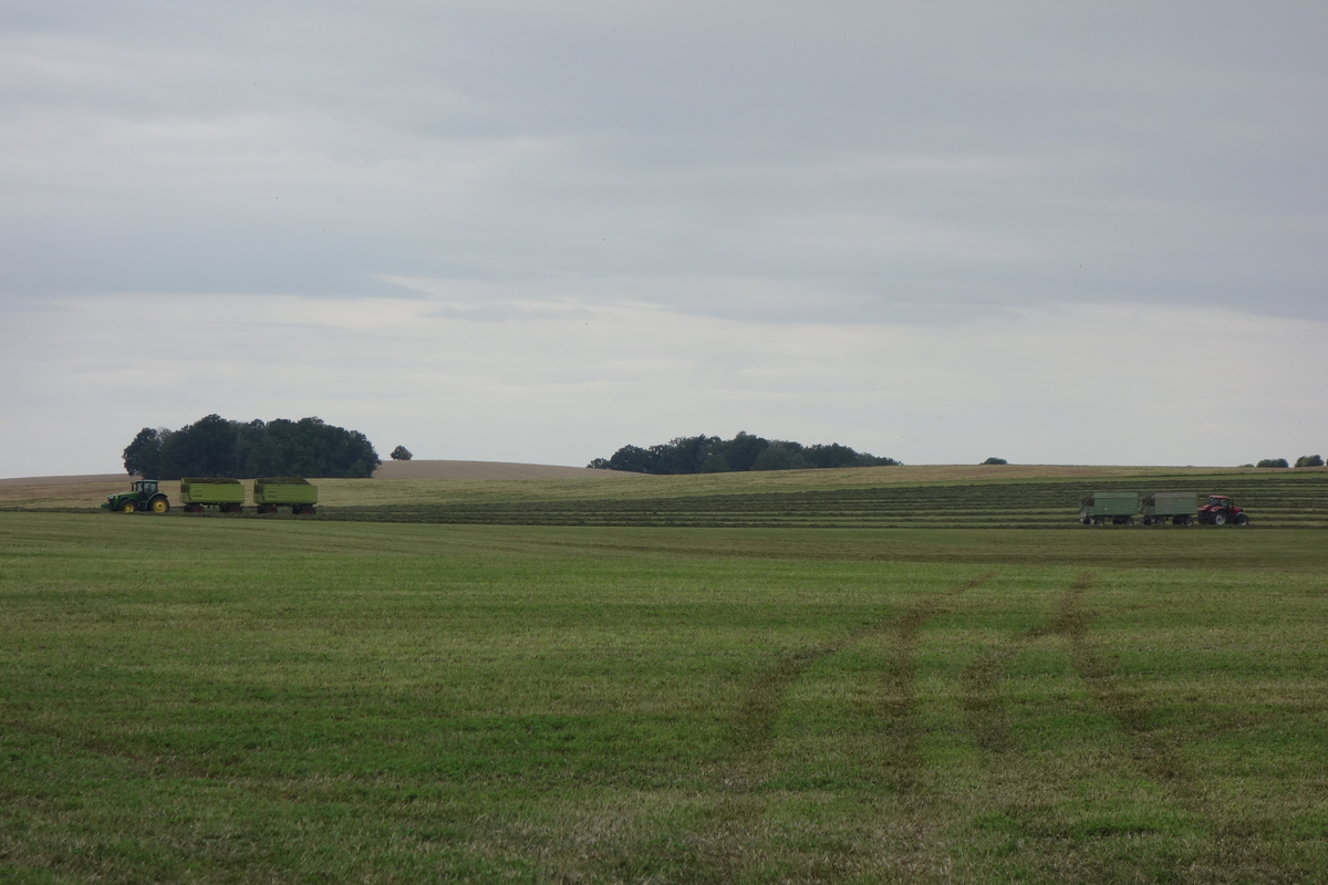 DSC09063.jpg