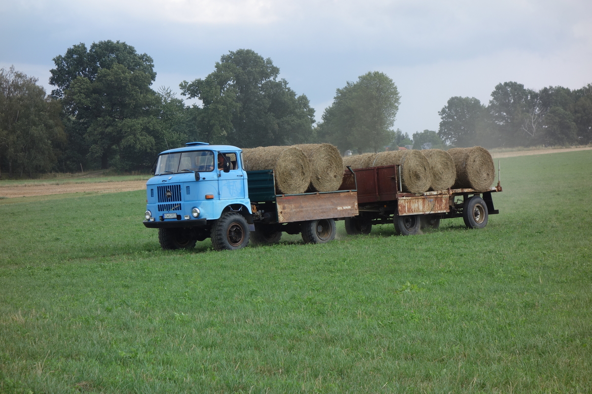 DSC09076.jpg