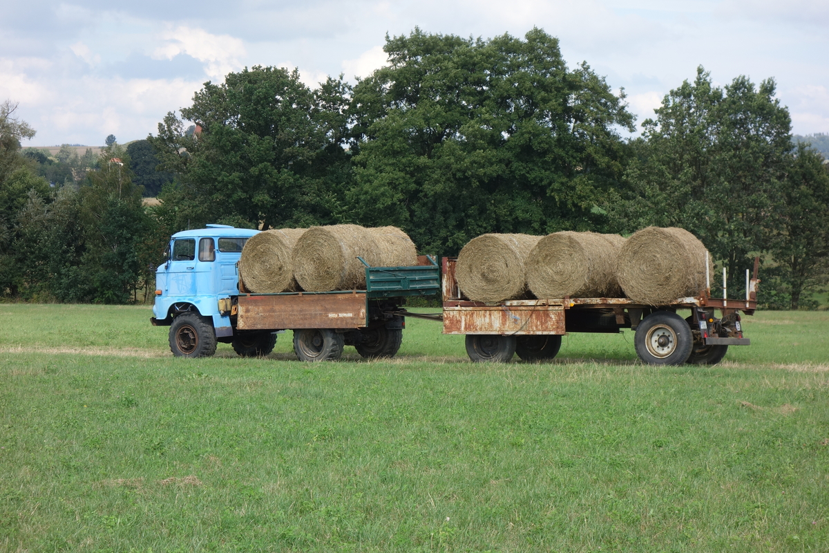 bilder/20_4_2013/CIMG7207.jpg