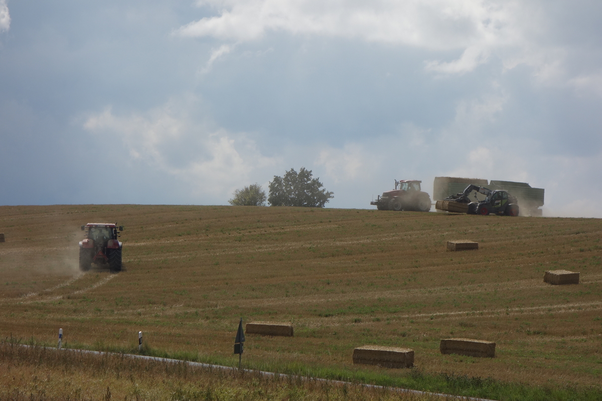 DSC09067.jpg