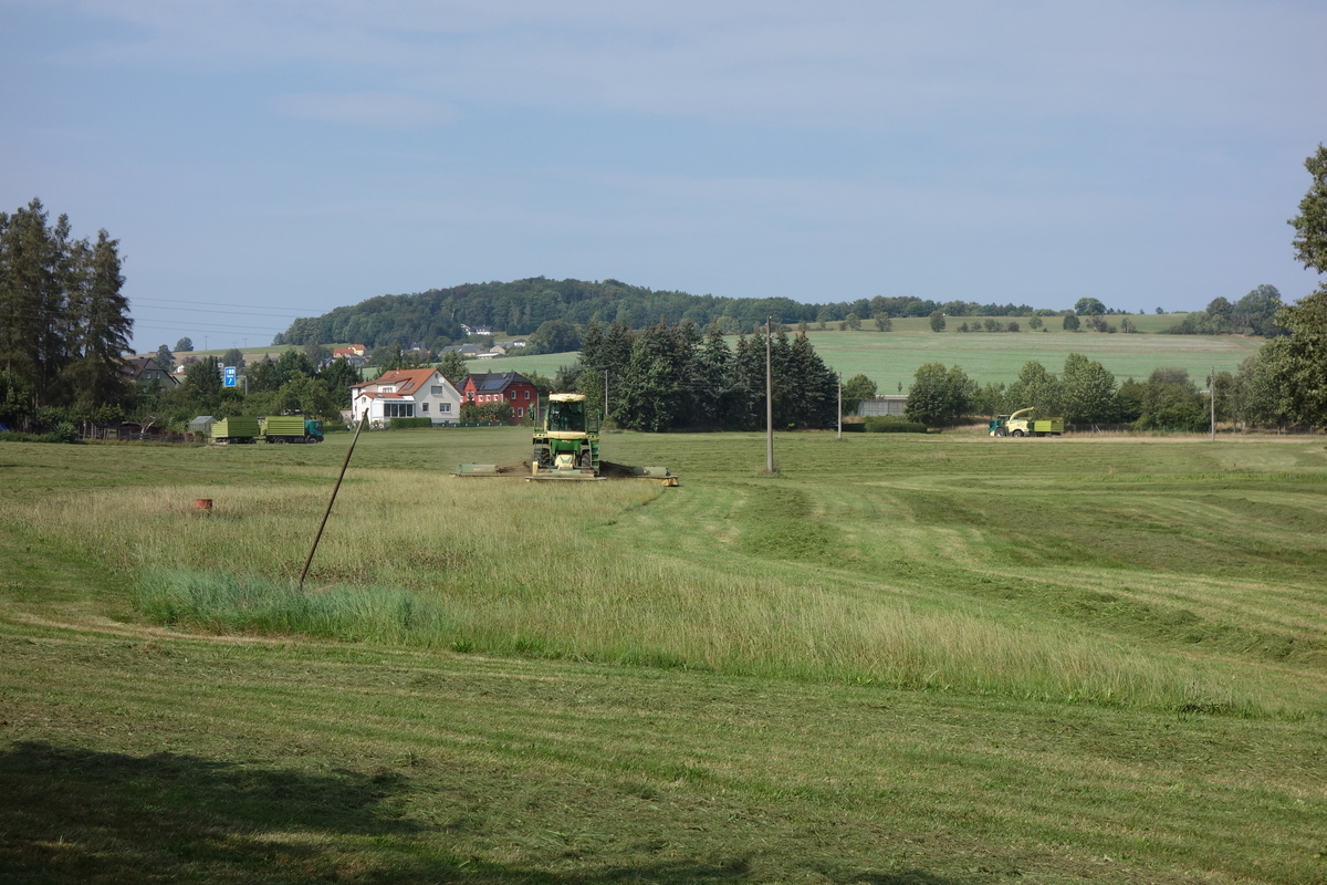 bilder/2024_08_23/DSC09098.jpg