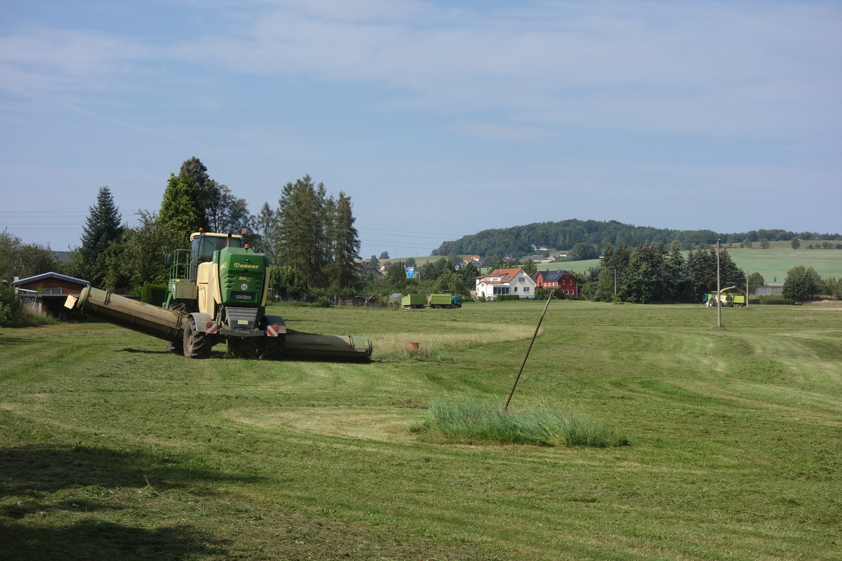 bilder/11_8_2013/CIMG8993.jpg