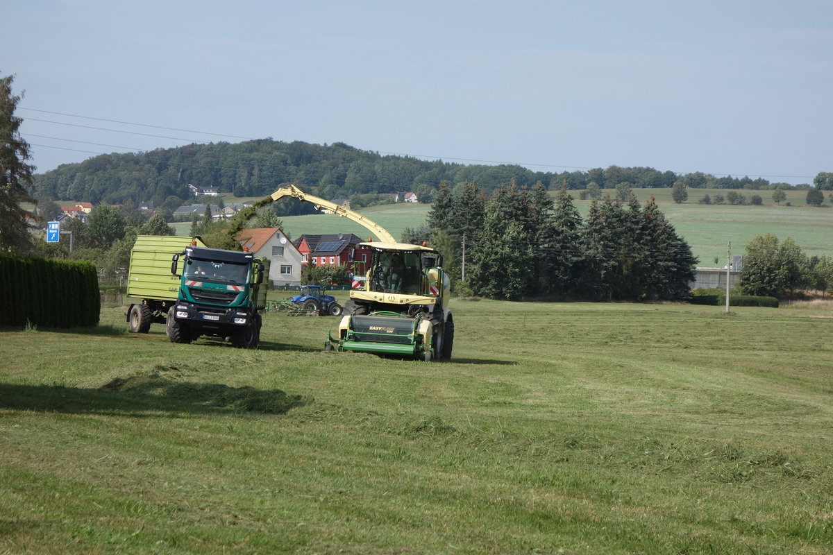 bilder/2024_08_23/DSC09120.jpg