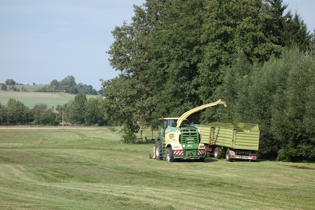 bilder/5_9_2004/targo.jpg