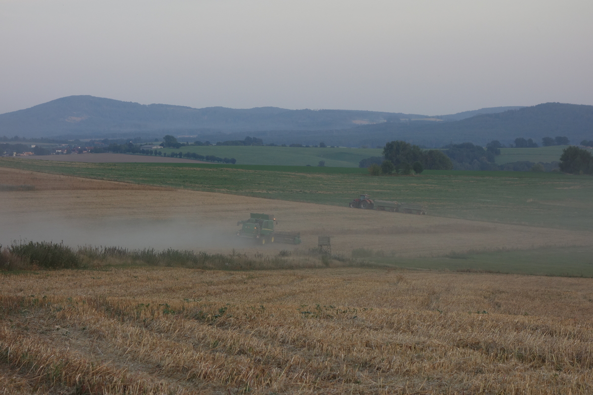 DSC09172.jpg