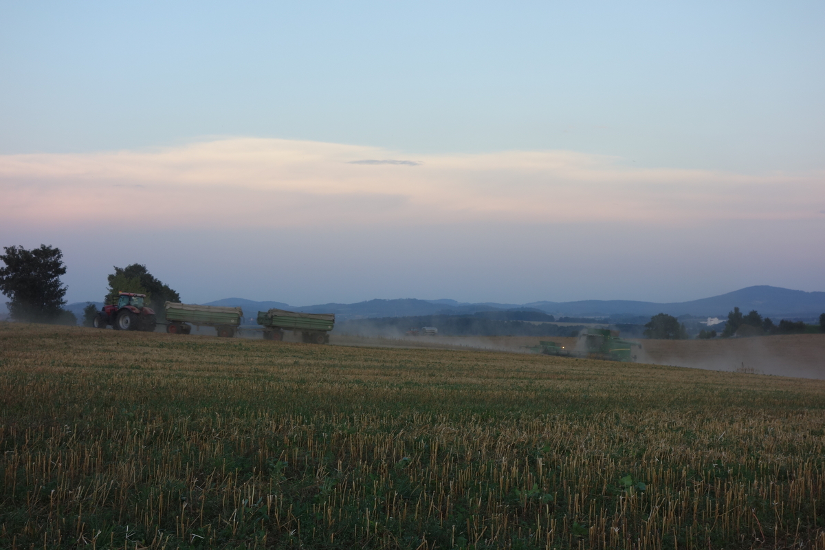 DSC09188.jpg