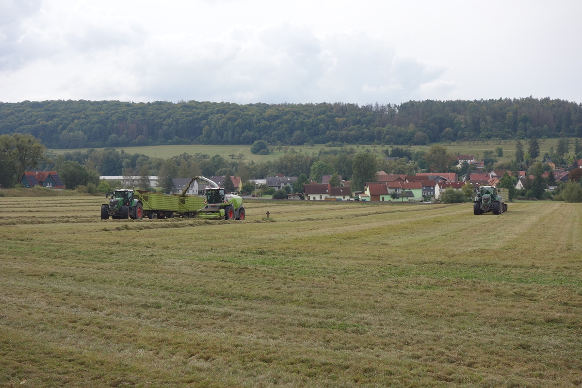 bilder/2024_09_14/DSC09317.jpg