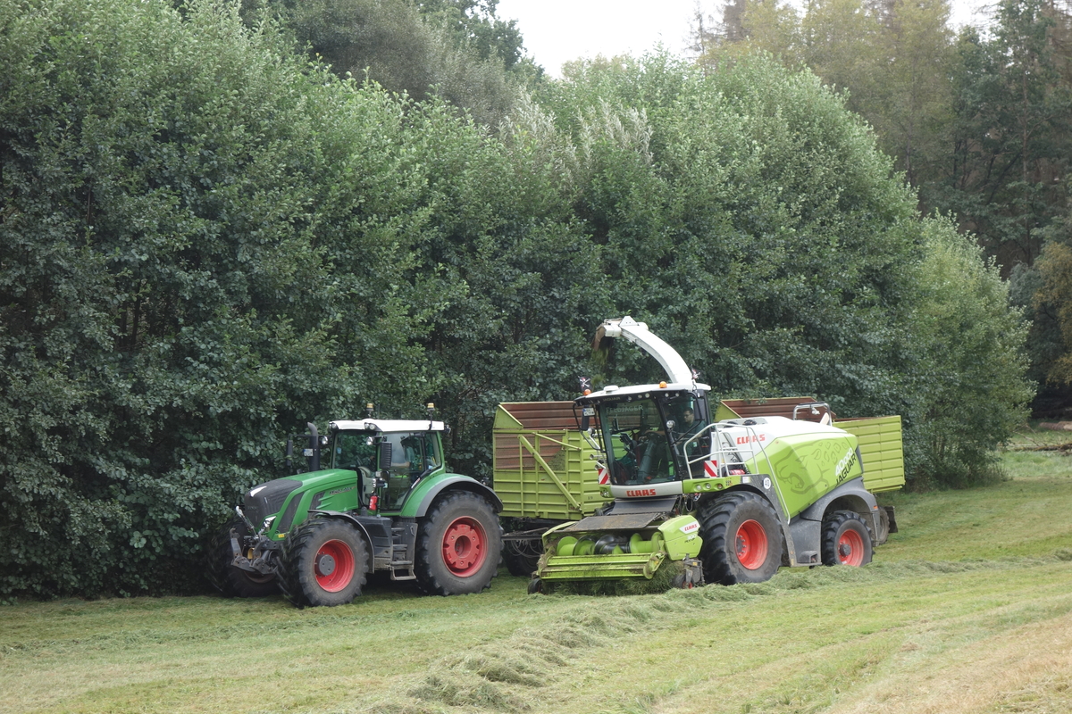bilder/12_8_2012/CIMG0217.jpg