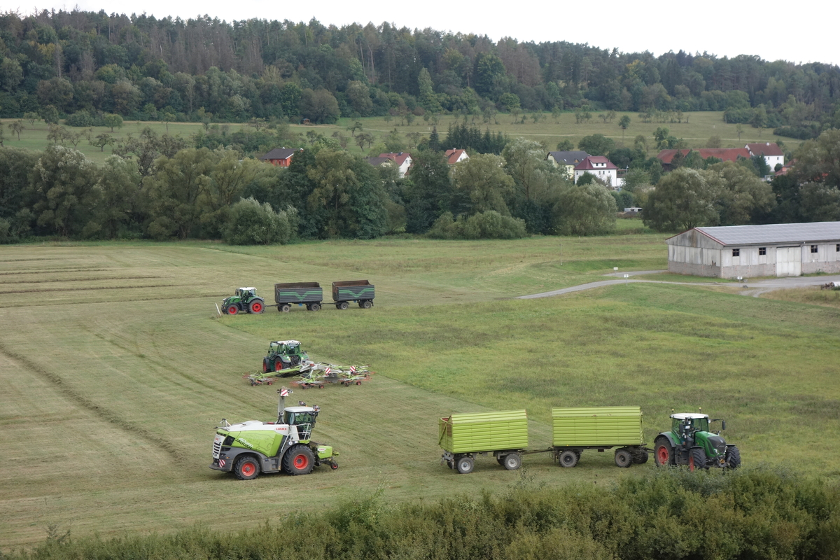 bilder/2024_09_14/DSC09387.jpg