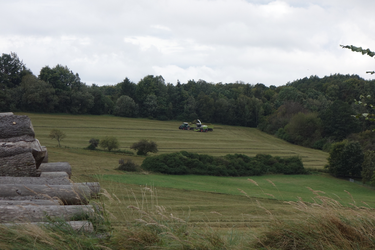 DSC09405.jpg