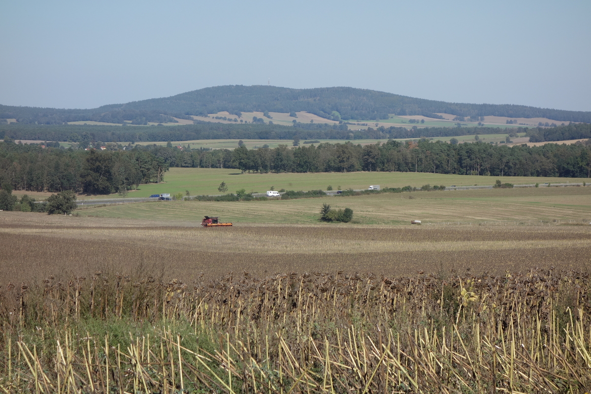 DSC09430.jpg
