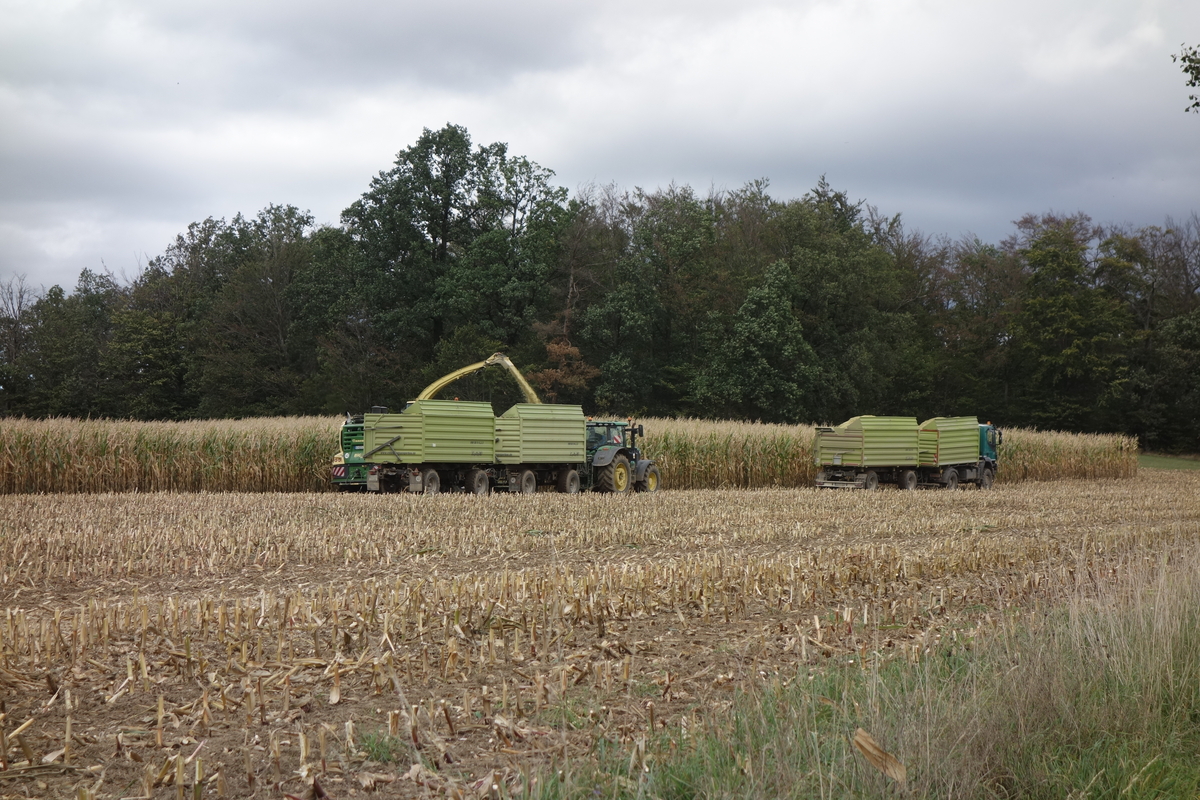 bilder/29_7_2005/terra_gator_8.jpg