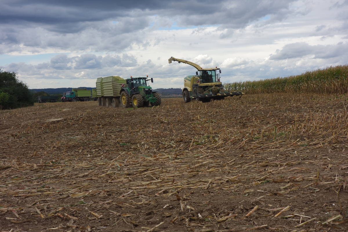 bilder/30_7_2002/fendt_824.jpg