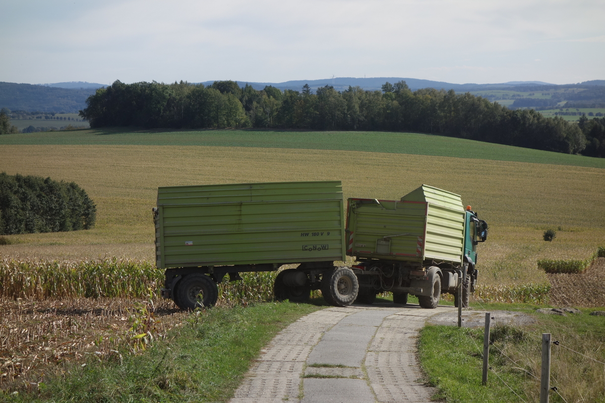DSC09717.jpg