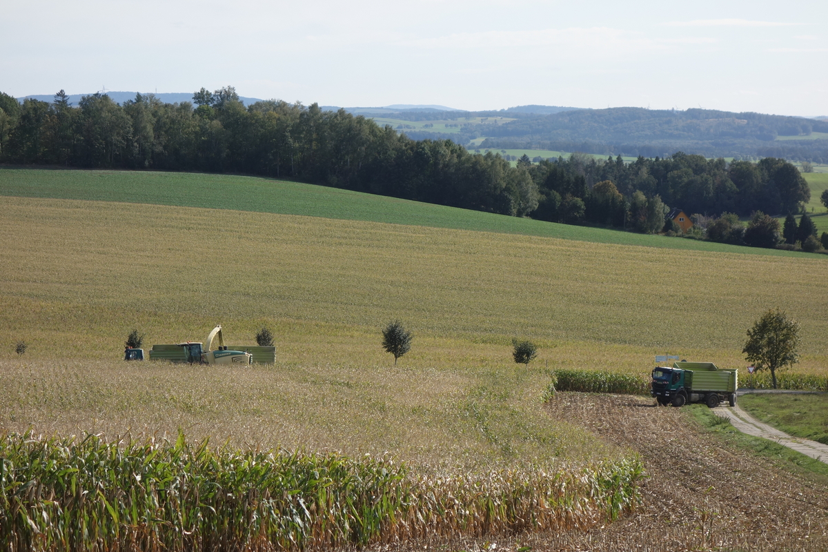 DSC09726.jpg