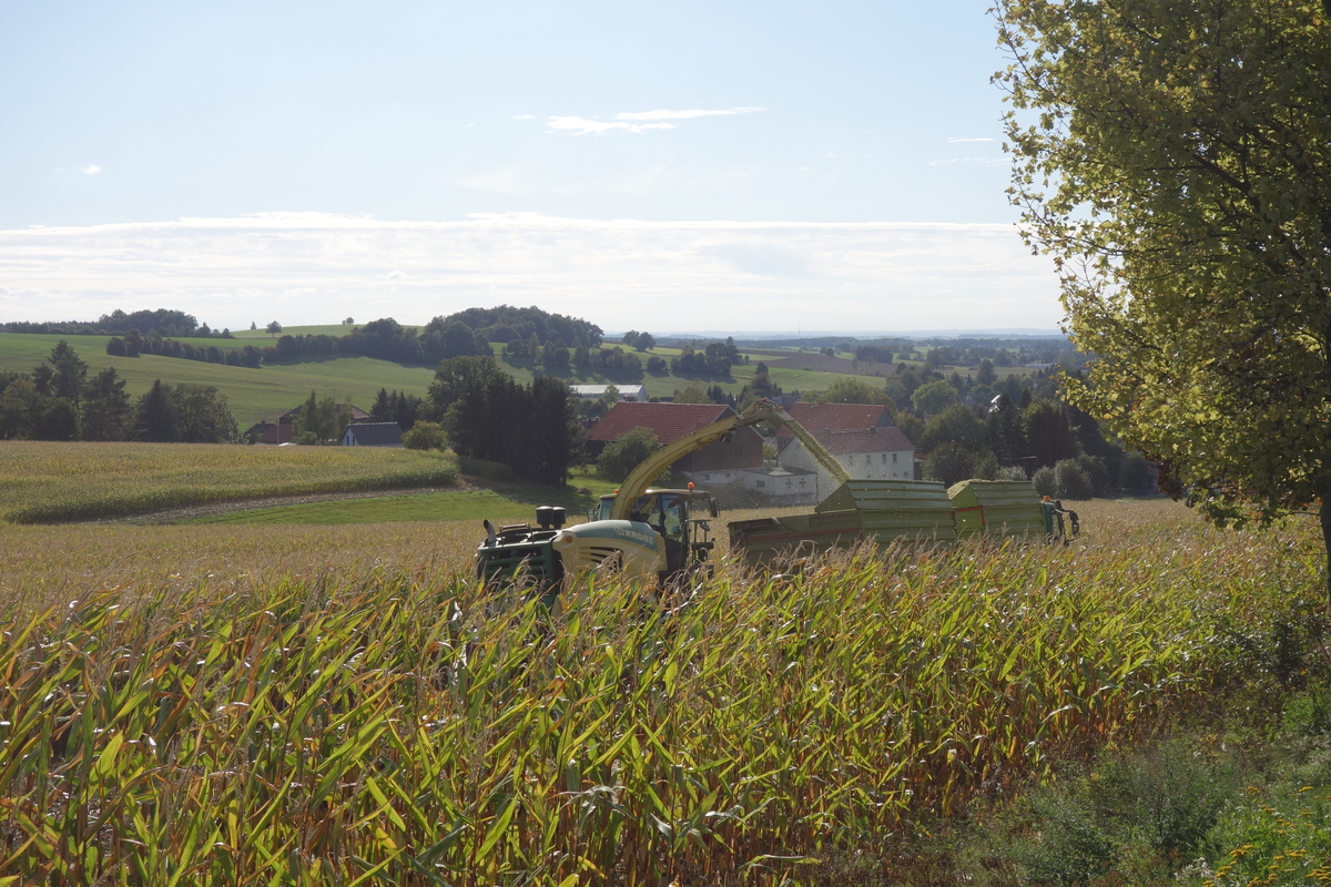 DSC09738.jpg