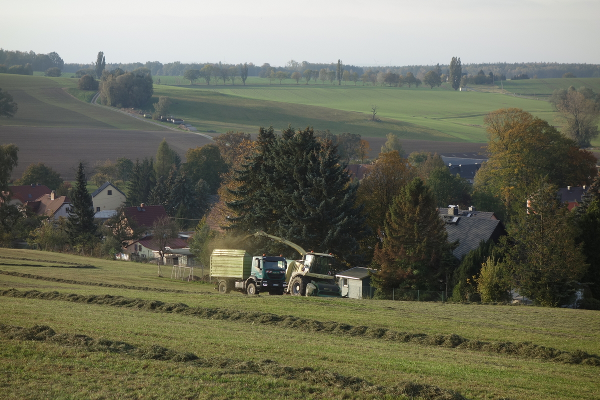 DSC09850.jpg