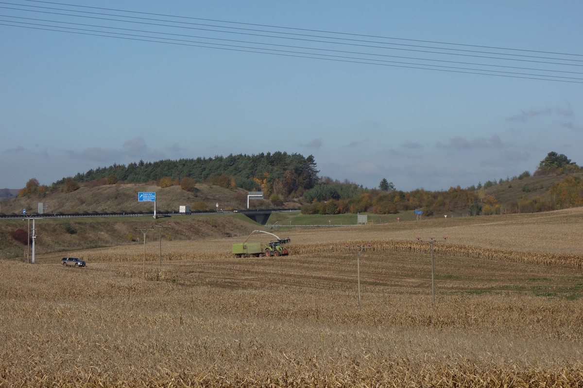DSC09878.jpg