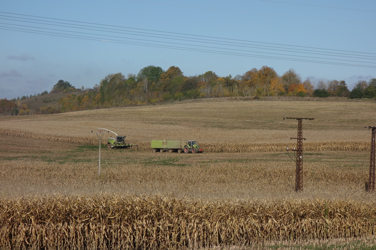 DSC09879.jpg