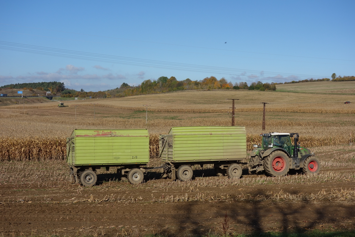 DSC09916.jpg