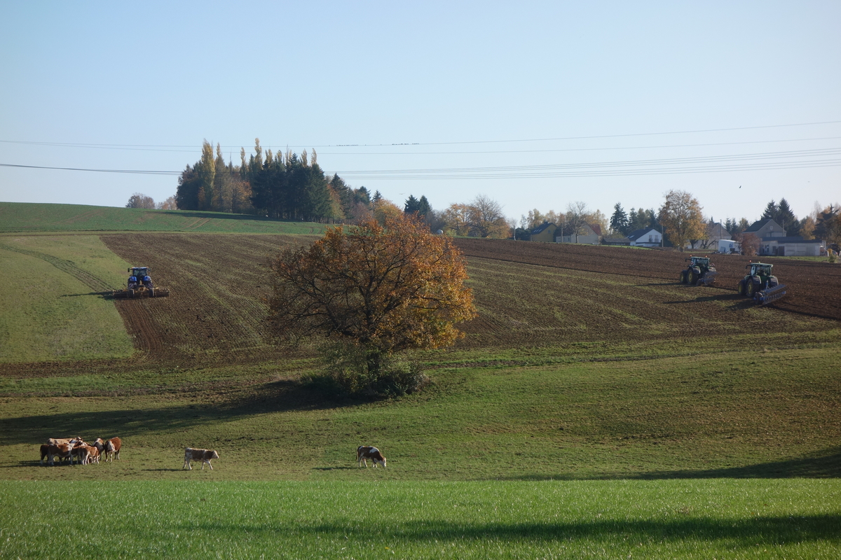 DSC09957.jpg
