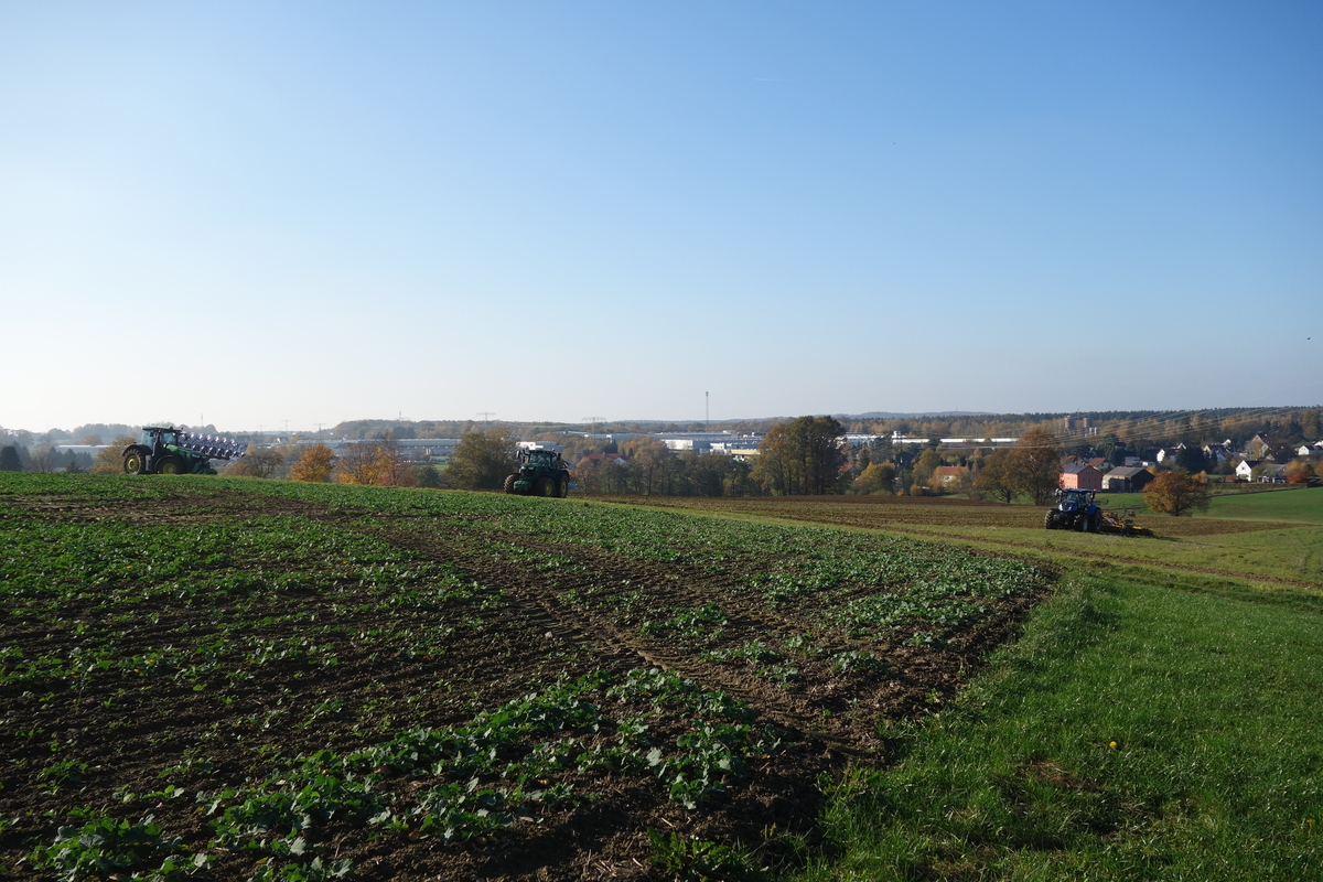 DSC09982.jpg