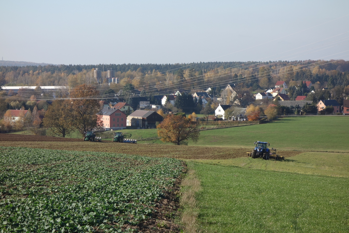 DSC09987.jpg