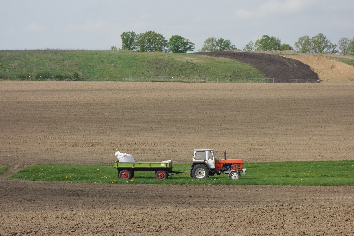 bilder/2025_05_03/DSC00117.jpg