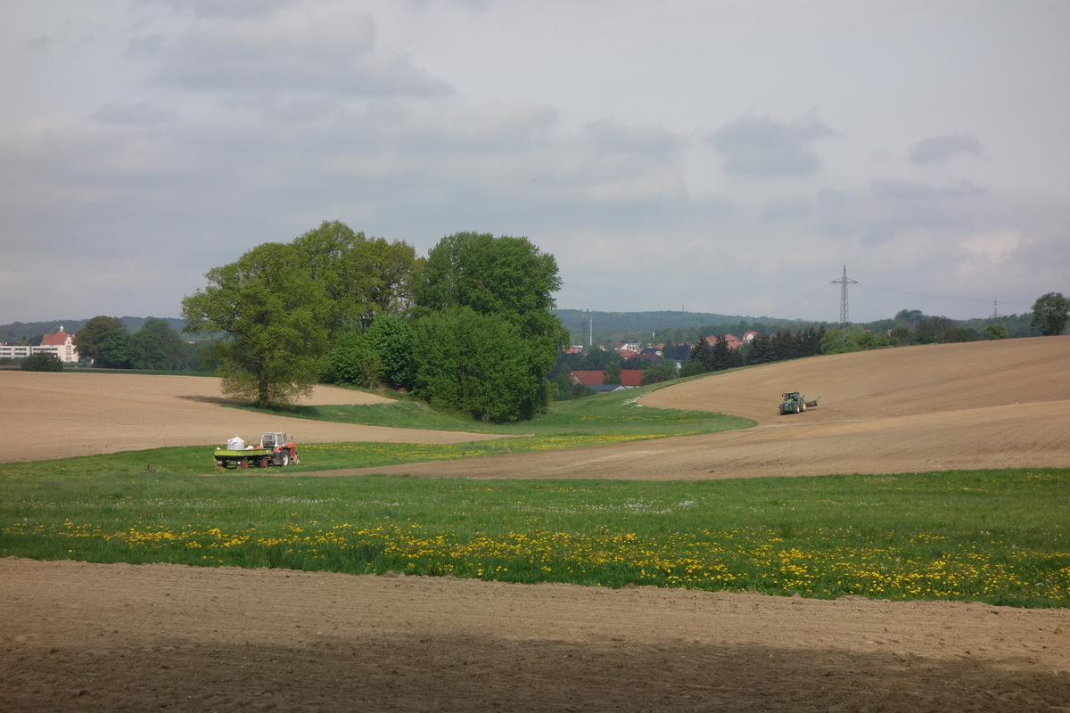 bilder/2025_05_03/DSC00118.jpg