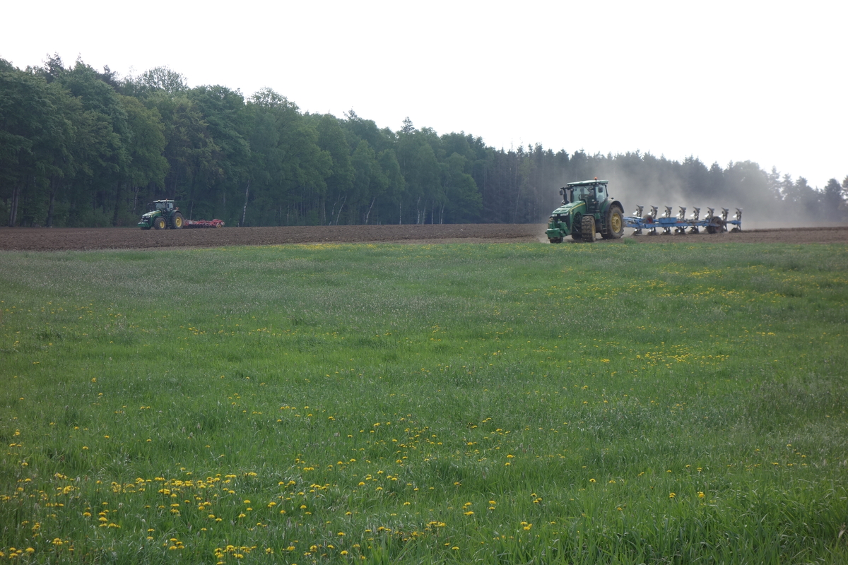bilder/27_7_2005/lexion_2.jpg