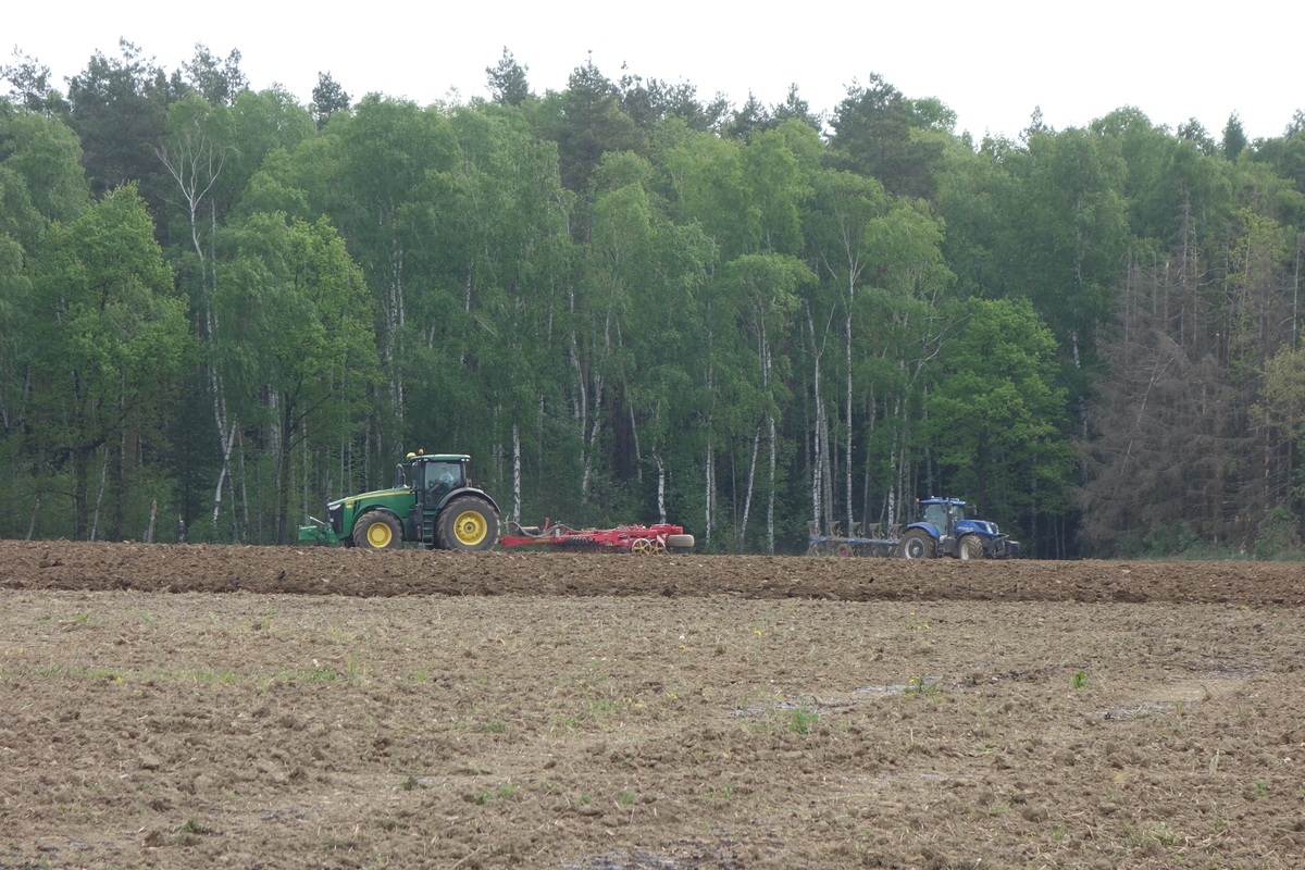 bilder/15_1_2014/CIMG1004.jpg