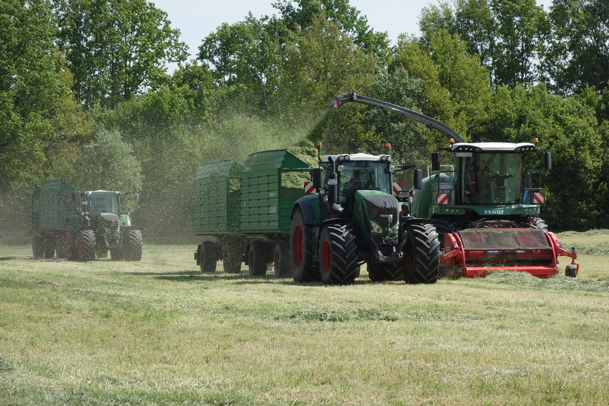 bilder/4_6_2014_2/CIMG3002.jpg