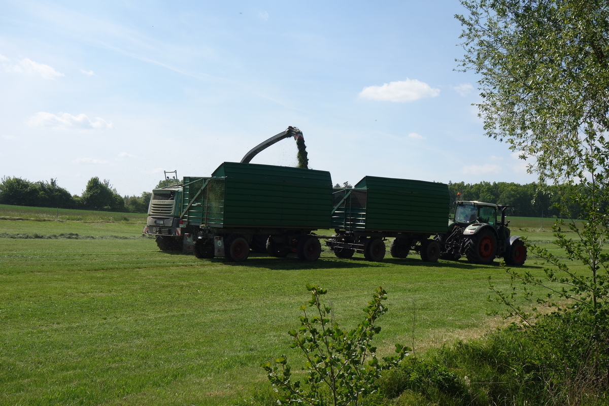 bilder/18_5_2015/DSC01034.jpg