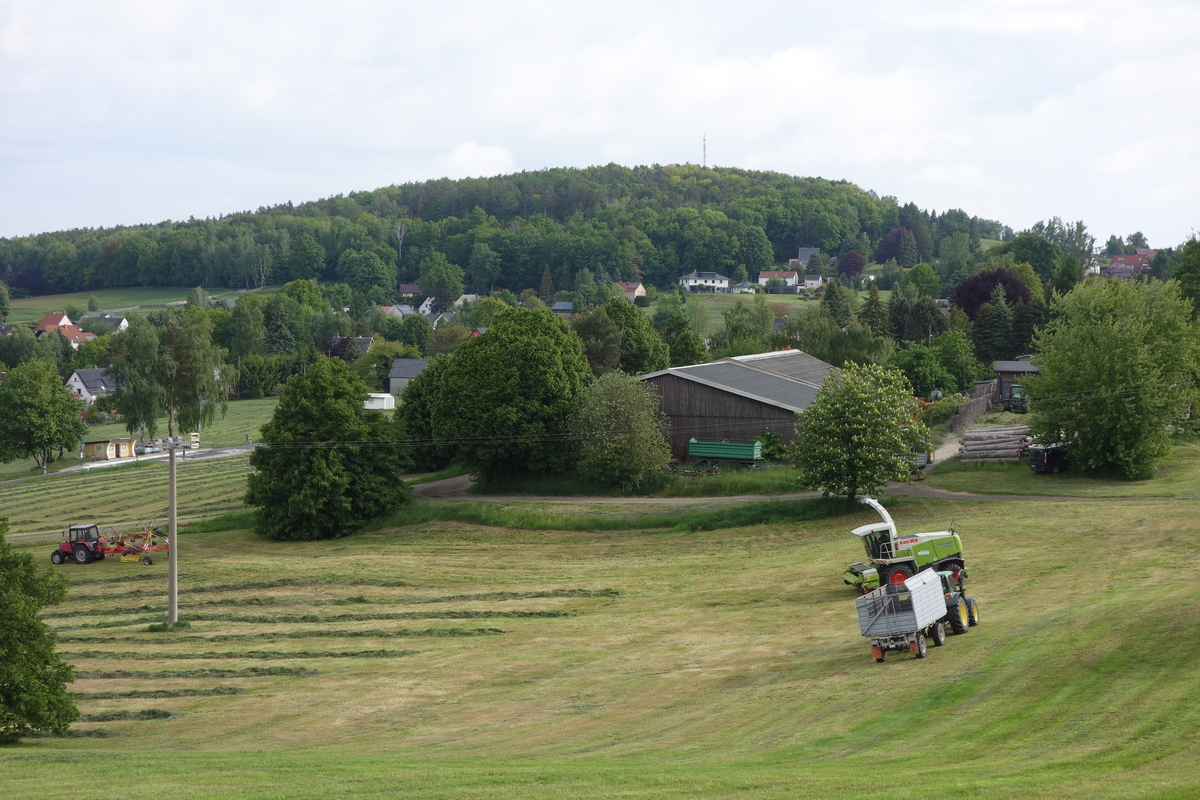bilder/2025_05_16/DSC00251.jpg