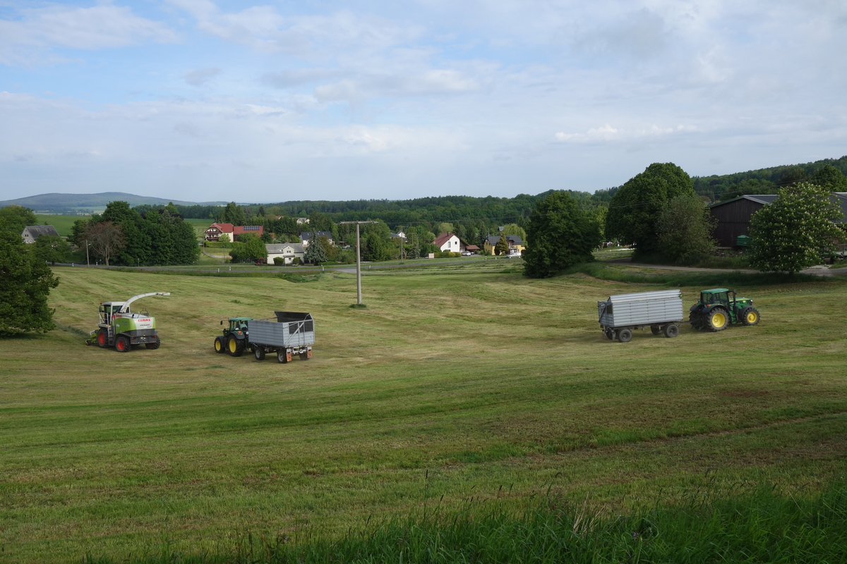 DSC00279.jpg
