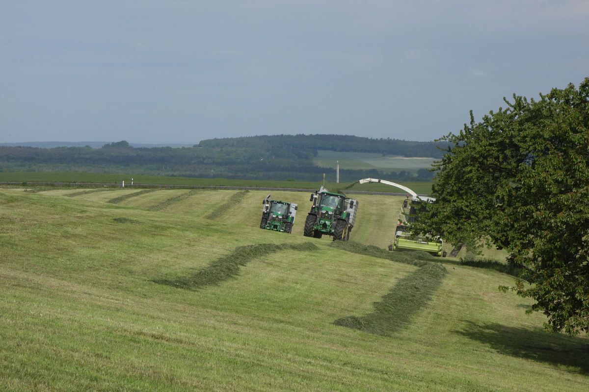 bilder/26_3_2012/CIMG8020.jpg