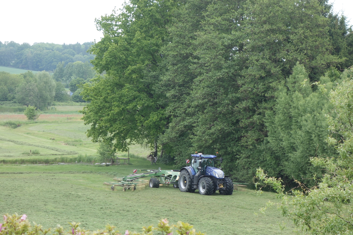 bilder/26_4_2002/fendt_8.jpg
