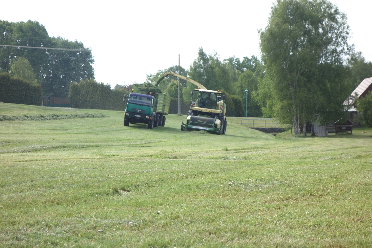 bilder/29_7_2005/terra_gator_9.jpg