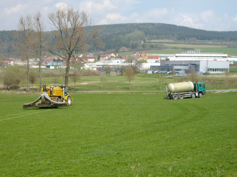 IMGP0545.jpg