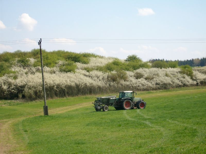 IMGP4568.jpg