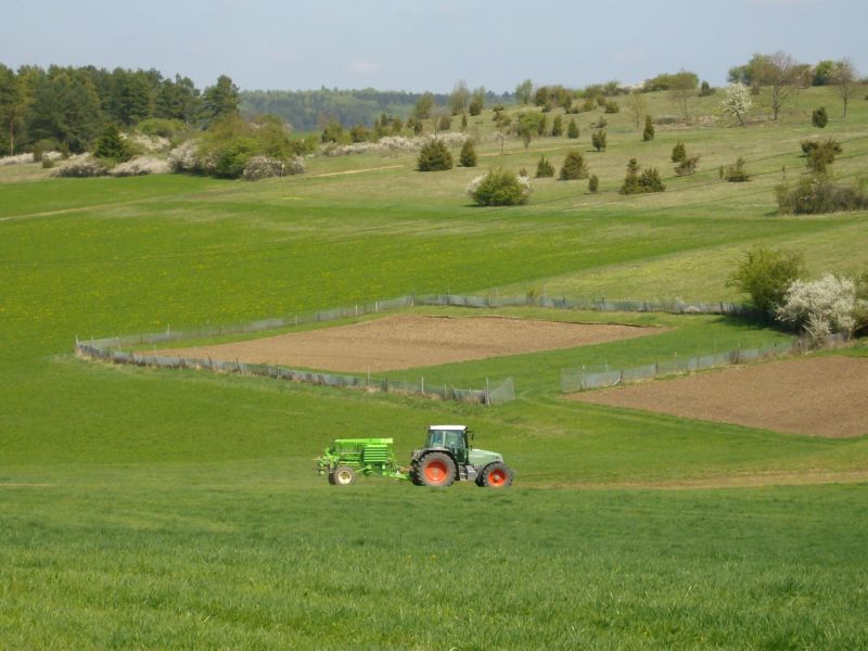 bilder/18_8_2005/lexion_6.jpg