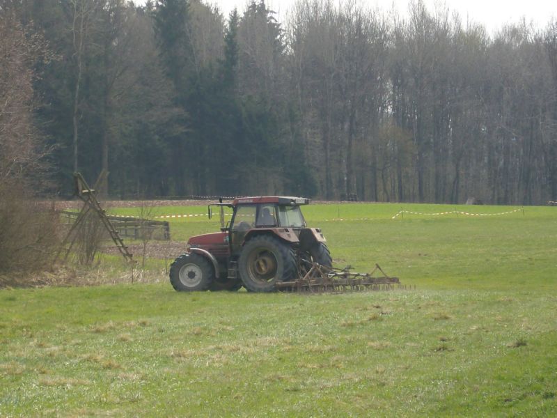 bilder/16_8_2009/IMGP7654.jpg