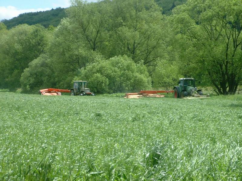 fendt_zt_323.jpg