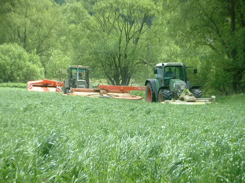 bilder/20_5_2004/fendt_zt_323_2.jpg